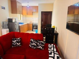 Ngara Budget Executive Studio 1KM to CBD and Museum ZERO7TWELVE SEVENZERO6EIGHT 60 - 8