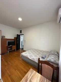 Apartment Stex 2 - Podgorica - 0