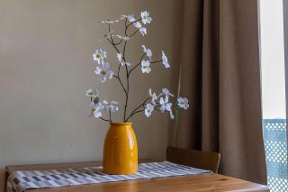 Las Naciones Vistas Espectaculares - 5