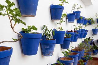 La calleja de la Corredera - 8