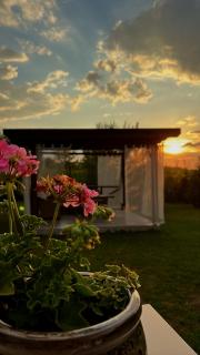 Pensiunea Ivoire - 6