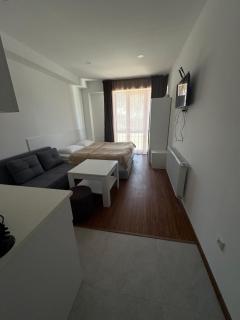 апартаменты в бакуриани - 6