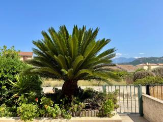 Studio Régina - Plage & port de Calvi à pied - 2