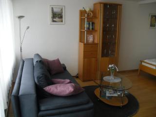 Appartement mit großem Indoorpool und toller Weitsicht auf die Berge - 5