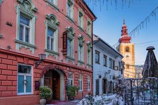 Hotel Ptuj - Ptuj - 0