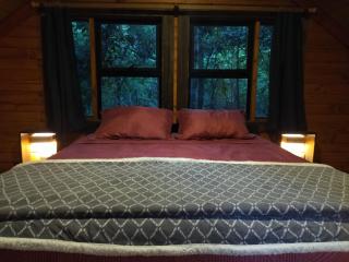 Acogedora y céntrica cabaña con bosque nativo - 3