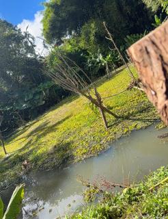 ecopolis birds lodge - 7