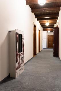 Pokoje Gościnne Cheval - 1