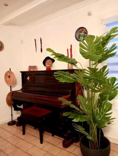 Villa Pamprenelle - 6