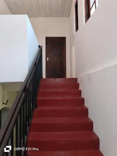 Femingo by Costels - 6