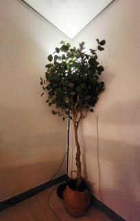 Suwon Happy House 2 - 3