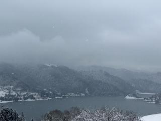 Colibița Infinity - 3