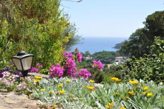 Villa Gualdo piscina vista mare - 8