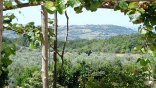 Podere Riparbella - Massa Marittima - 1