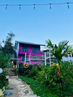 Mia Homestay&coffee - 2