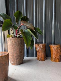 Solunara Malolos - 5