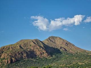 GREEN STUDIO TARRAFAL - Ap 01 - 7