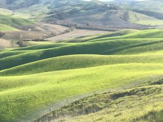 Il Borghetto Studio apartment in Crete Senesi - 5
