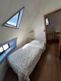 Domo Tiguesitos en Picarte con Parasol - 3