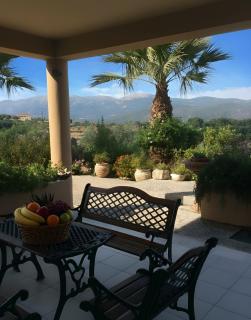 Olive Grove Family Home - 1