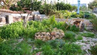 Elaya Experience - 8