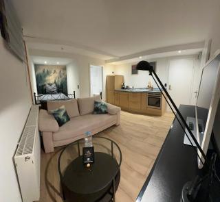 Pendler Montagewohnung Kandern, Lörrach, Basel D,CH, FR -  - 6