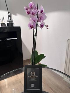 Pendler Montagewohnung Kandern, Lörrach, Basel D,CH, FR -  - 7