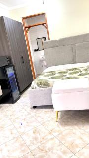 Matone Studio Apartment Muyenga - 5