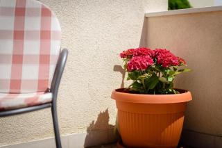 Apartments and Rooms Kudelik - 2