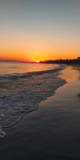 Refugio del Bosque - 1