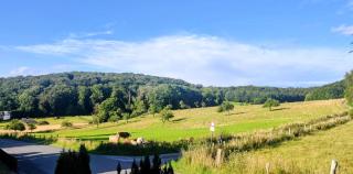 Modernes Rhombushaus im Naturparadies Sauerland - 2