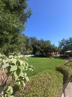 Citi Farm Resort - 8