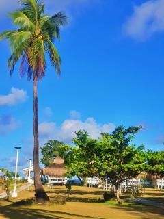 Calaguas White Sand Resort - 9