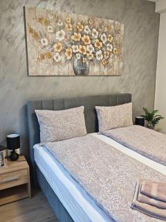 Apartman Amber Vrnjačka Banja - 3