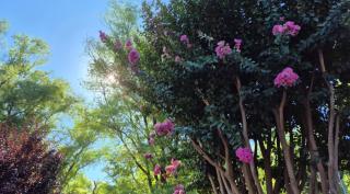 Departamento tranquilo cerca de la terminal Villa General Belgrano a 5 cuadras del centro - 1