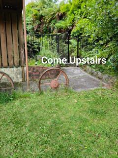 Steve's Cozy Retreat - 1