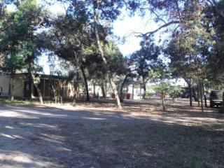 Logement de Vacances avec Terrasse - Pinarello Plage - API-1-52-904 - 3