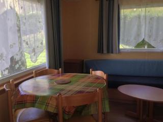 Mobil home - Terrasse - API-1-52-1587 - 8