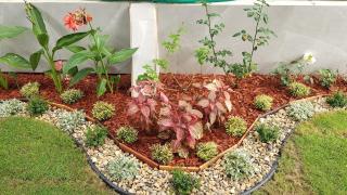 Suite con entrada independiente - 7