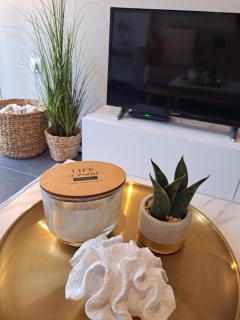 Elegant City Center Apartment - 5