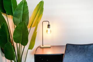 Appartement chaleureux pour un séjour parfait - 2