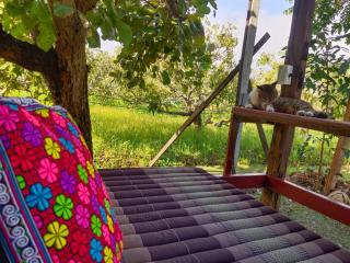 Little Forest Chiang Mai - 5