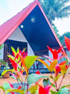 Sigiriya On Rock - 6