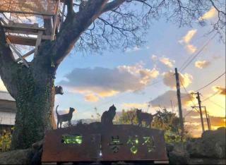 봉성집 House Bongseong - 9