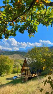 Forest house - ტყის სახლი - 6
