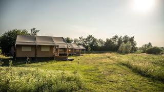 Erfgoed Bossem - Stoer Lodgetent Twin - 9