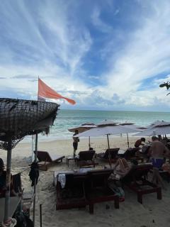 Noahs Ark Beachfront - 3