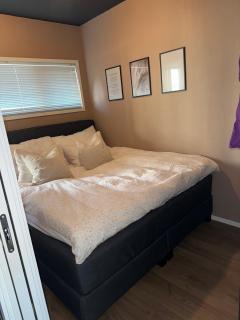 Recently renovated apartment - 1