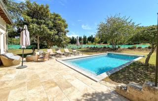 Mancareste - Paradou - 2