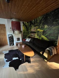 Kråksjöviken - 1
